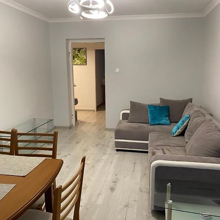 Apartament Przy Katedrze Гожов Велкополски Екстериор снимка